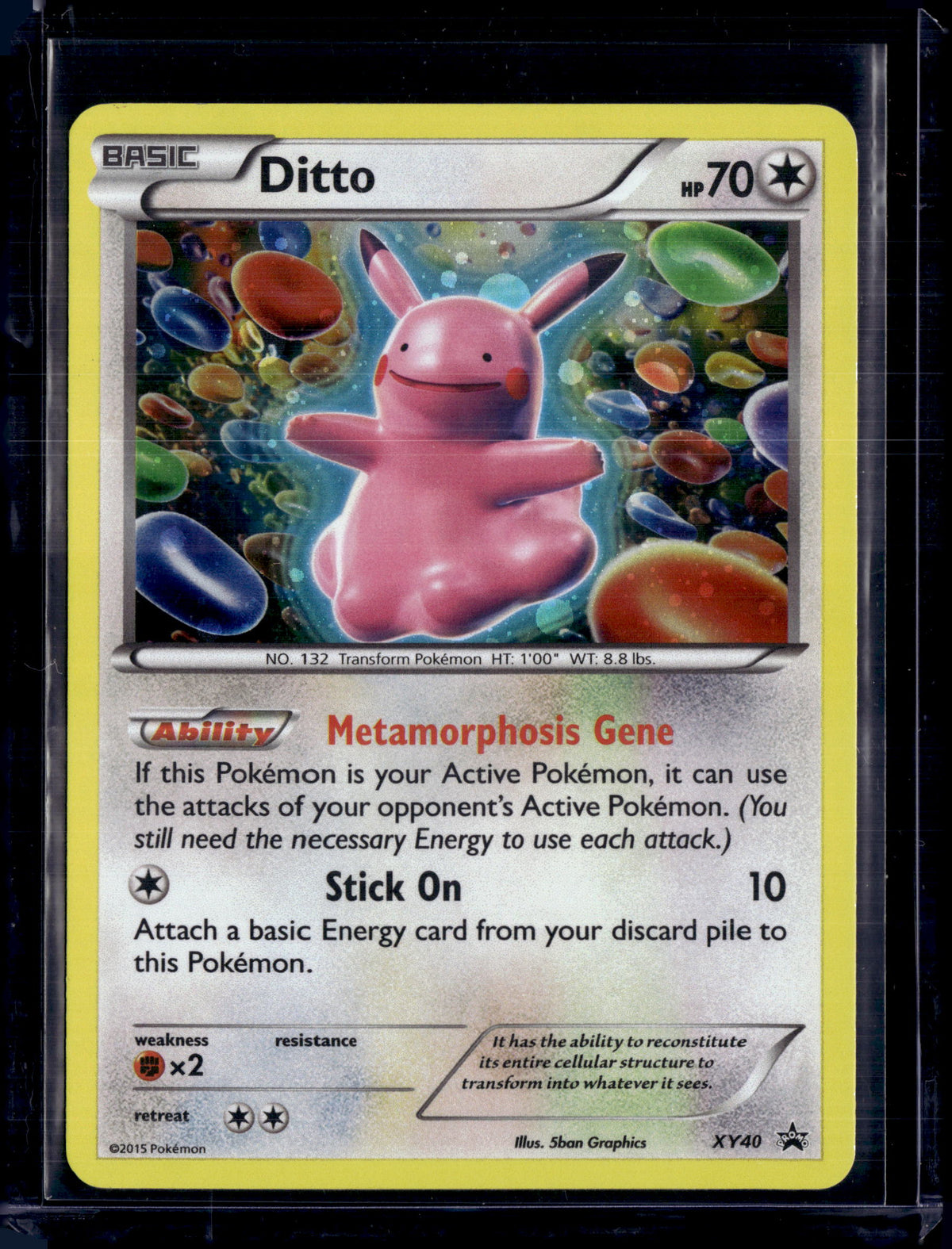 2015 XY Promos Ditto Holo XY40