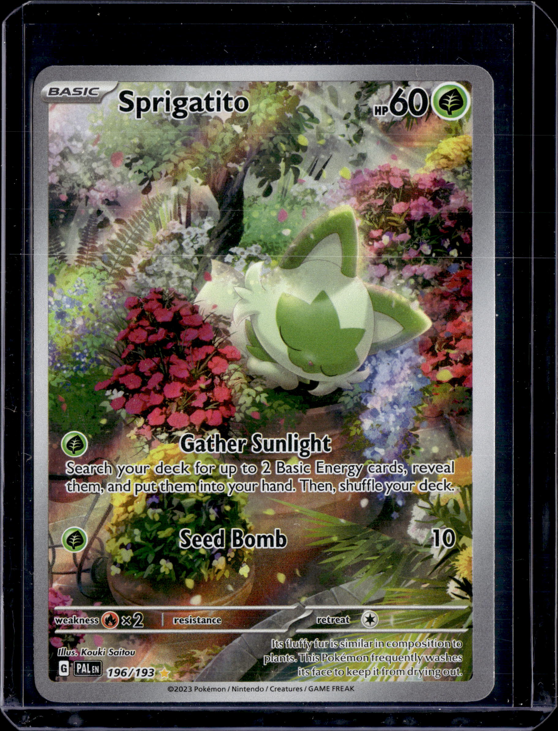 2023 Pokemon Paldea Evolved Sprigatito 196/193