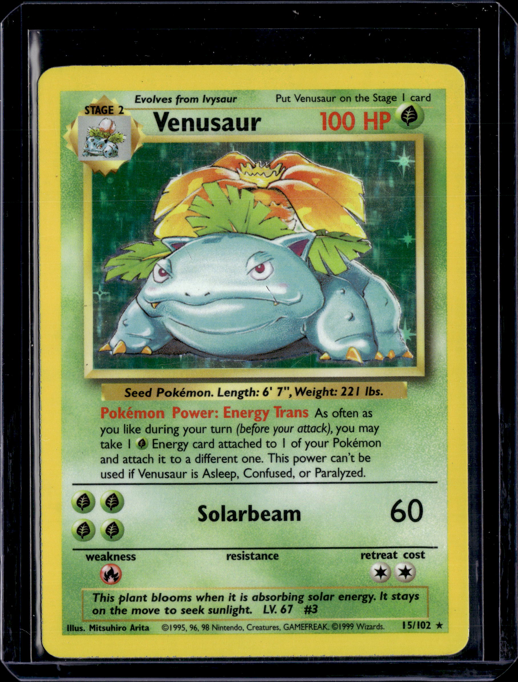 1999 Base Set (Unlimited) Venusaur Holo