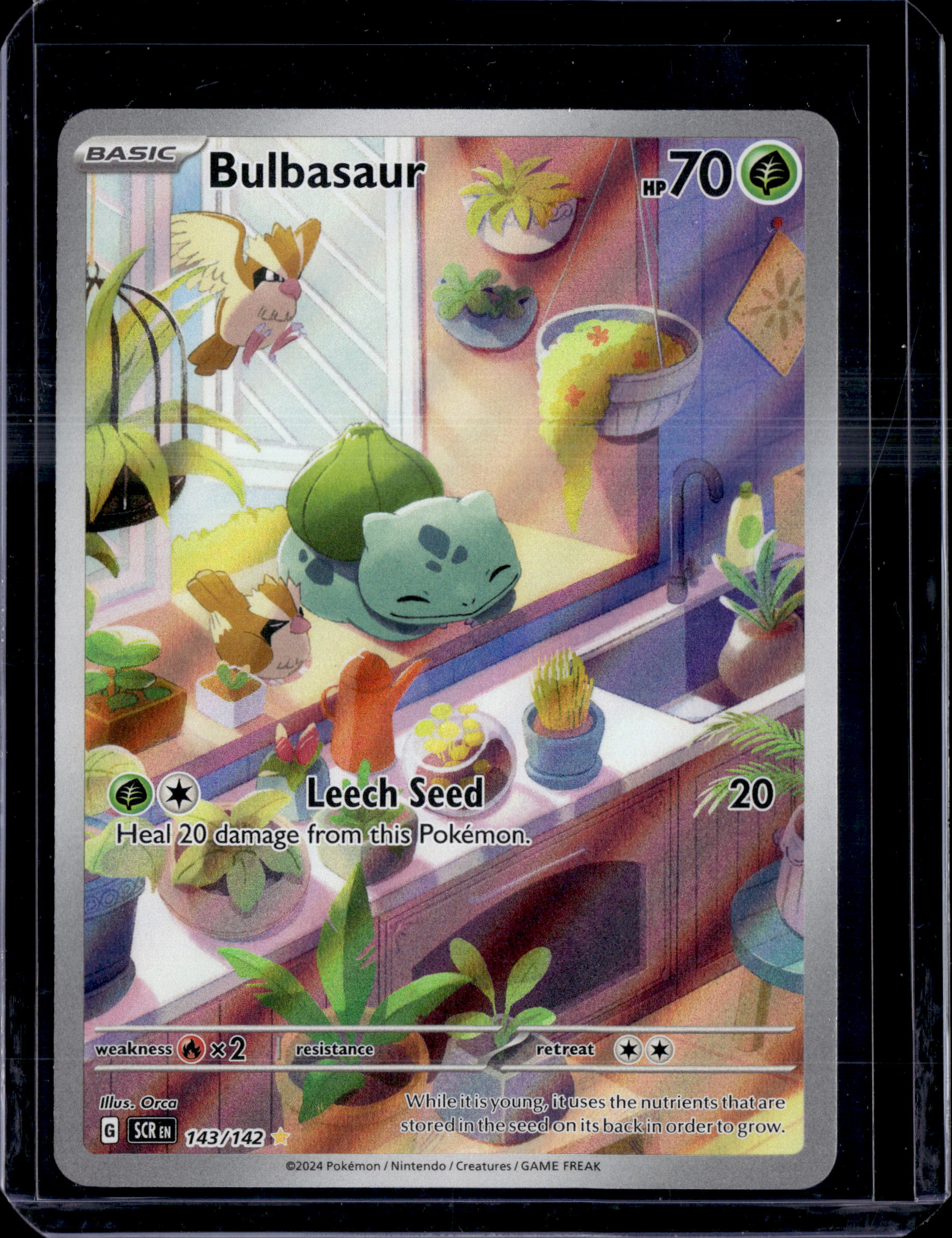 2024 Stellar Crown Bulbasaur Illustration Rare