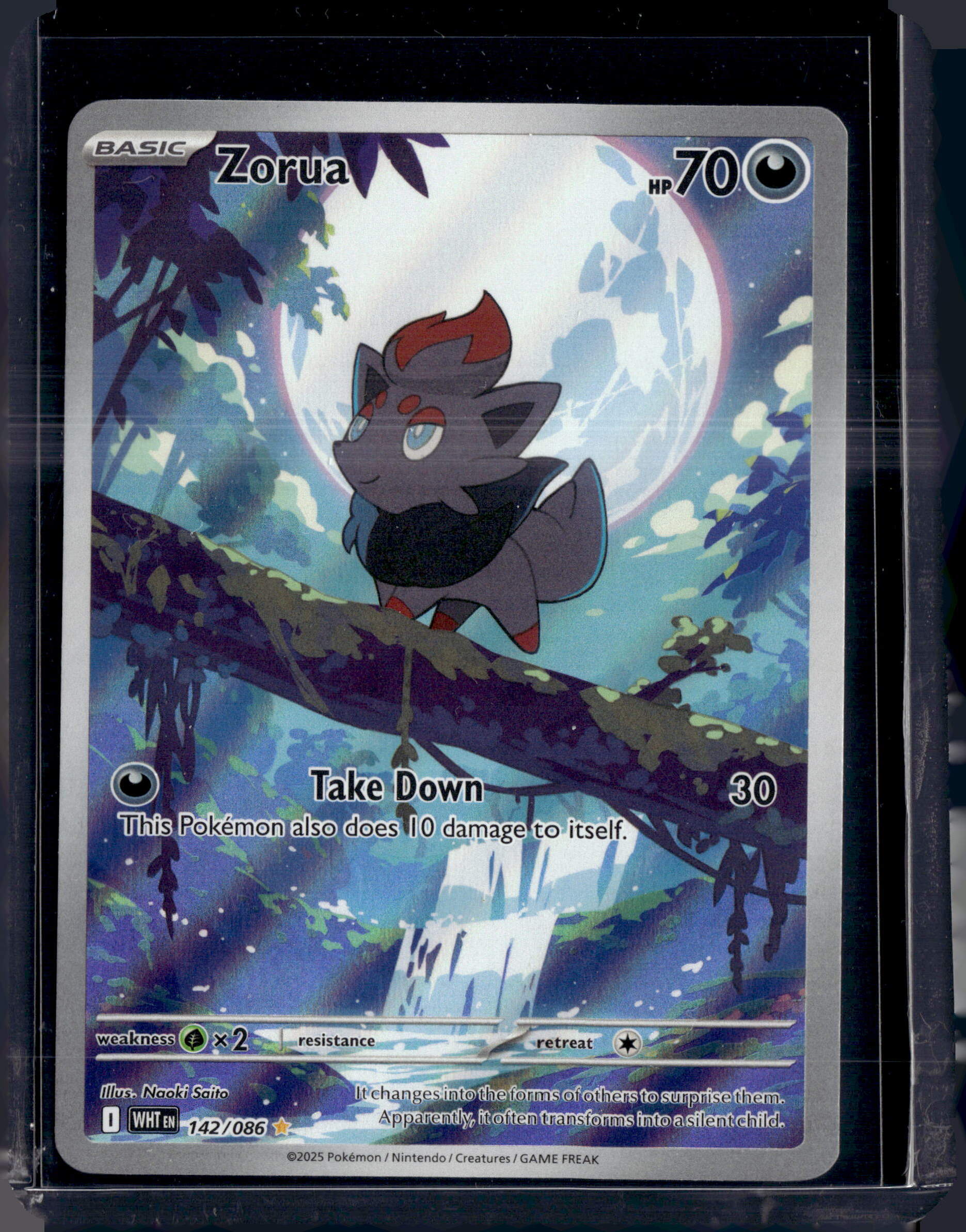 2025 White Flare Zorua Illustration Rare