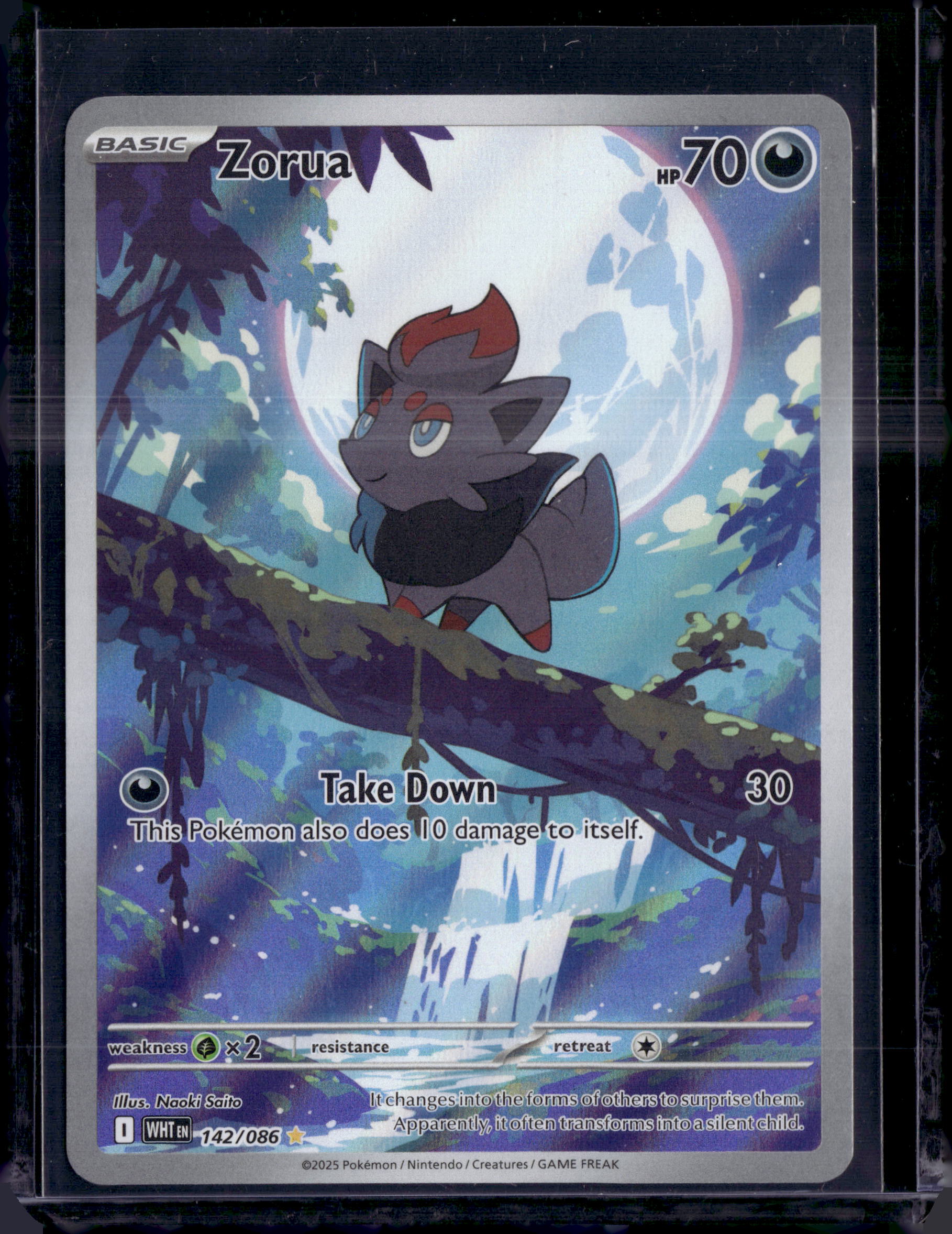 2025 White Flare Zorua Illustration Rare (b)