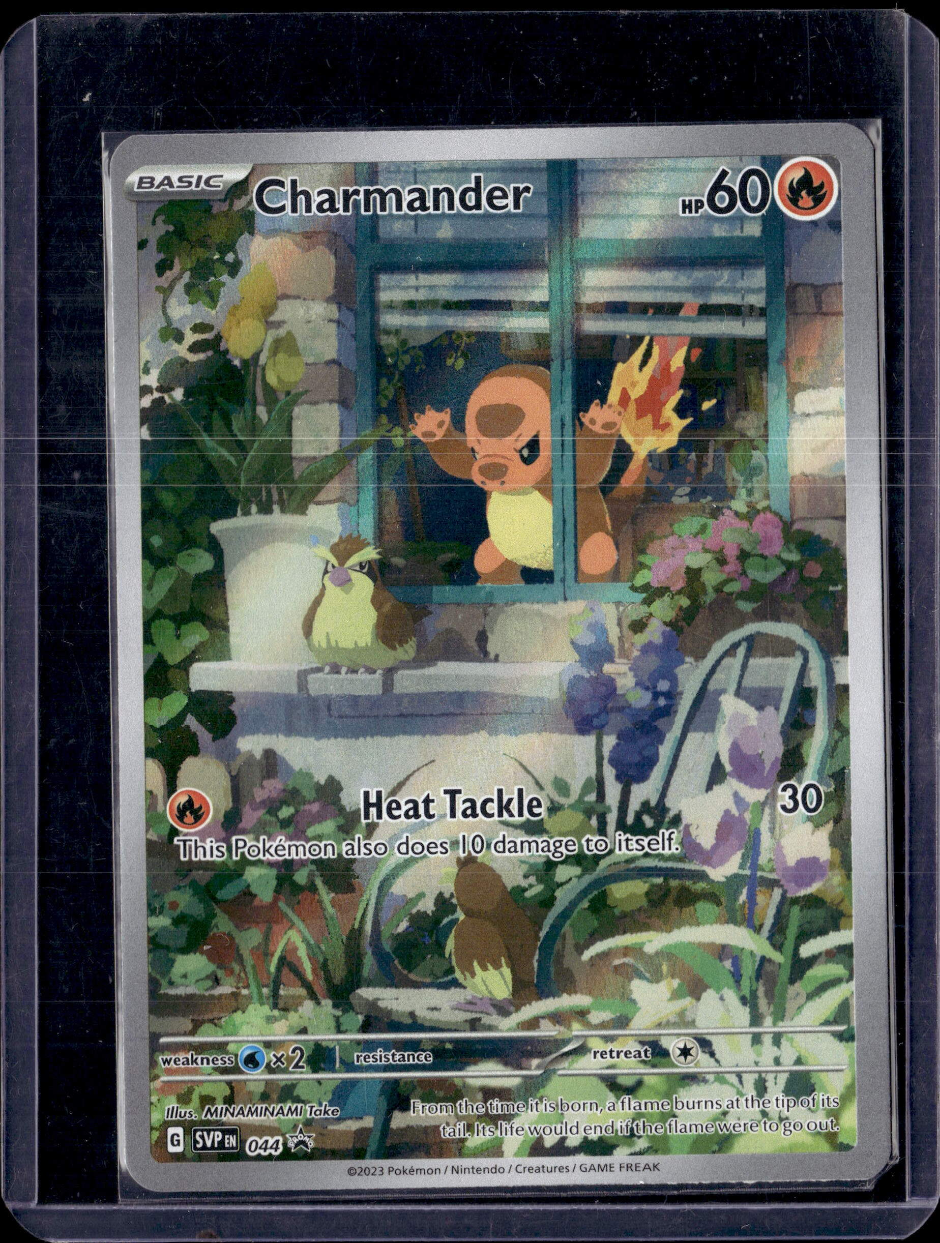 2023 Scarlet & Violet Charmander Promo Holo