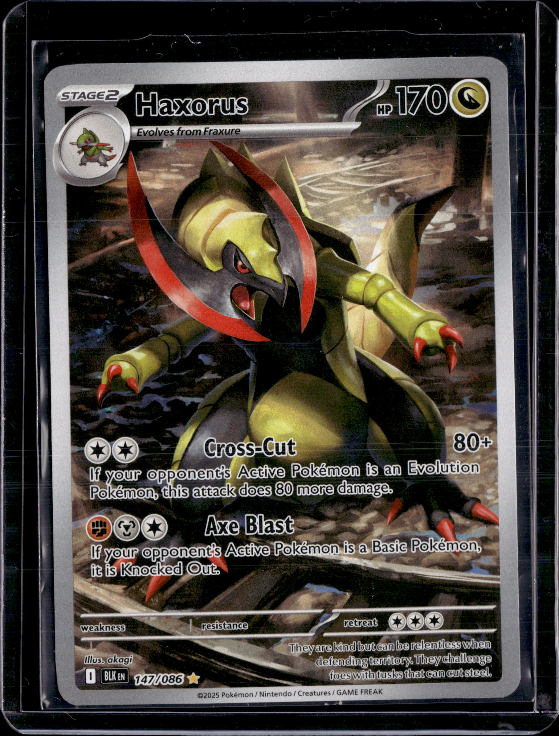 2025 Black Bolt Haxorus IR Holo 147/086