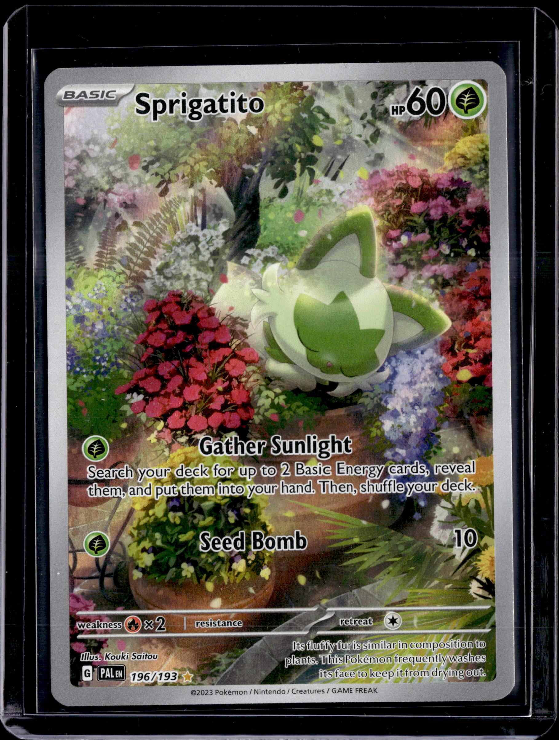 2023 Paldea Evolved Sprigatito Illustration Rare
