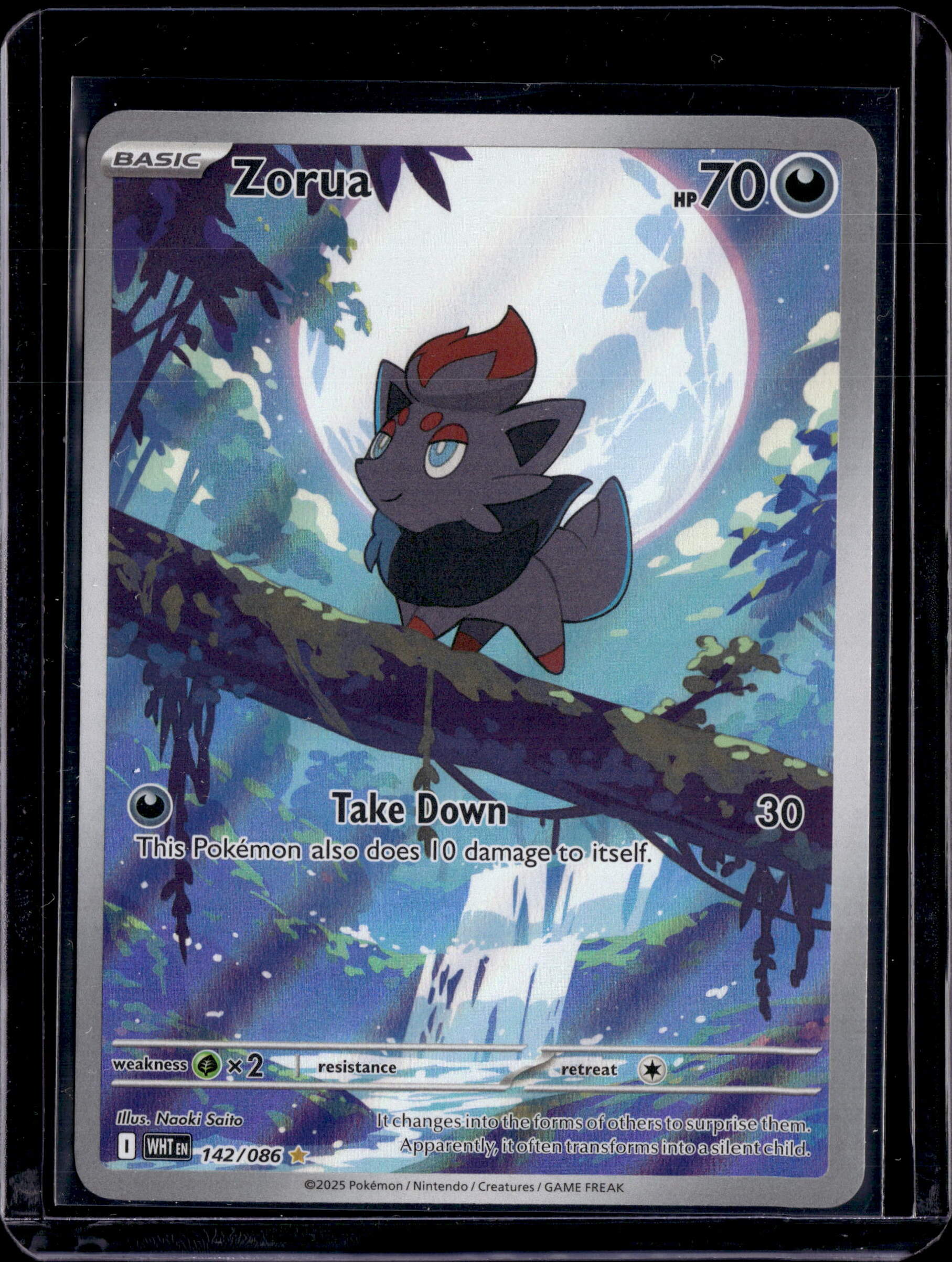 2025 S&V White Flare Zorua Illustration Rare