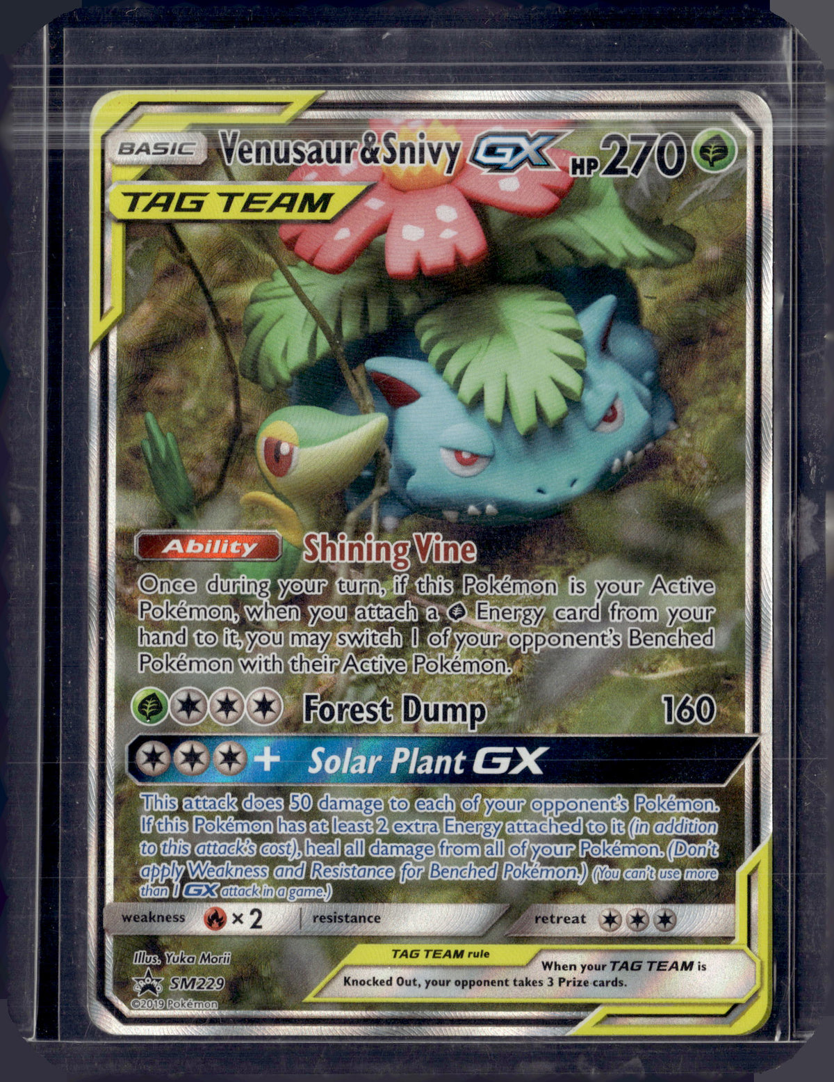 2019 Pokemon SM Black Star Promo Venusaur & Snivy GX TAG TEAM Holo