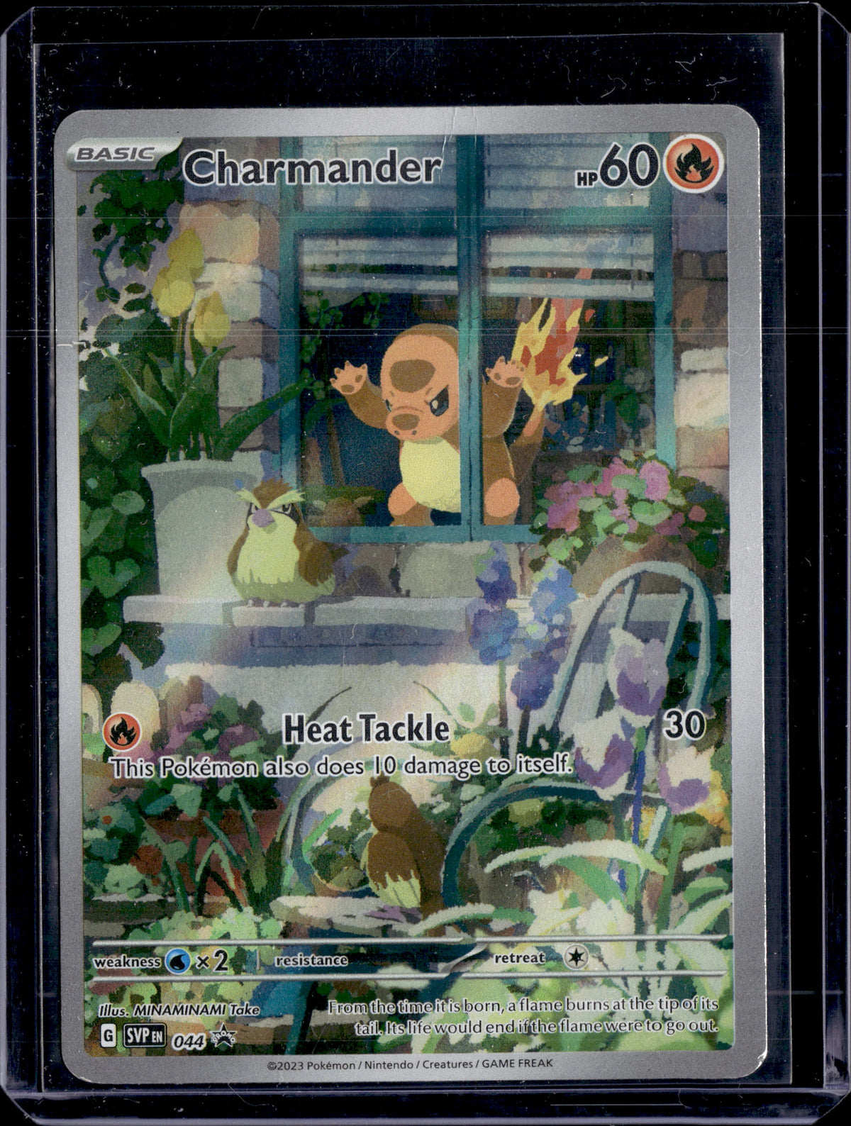 2023 Scarlet & Violet Promo Charmander DMG