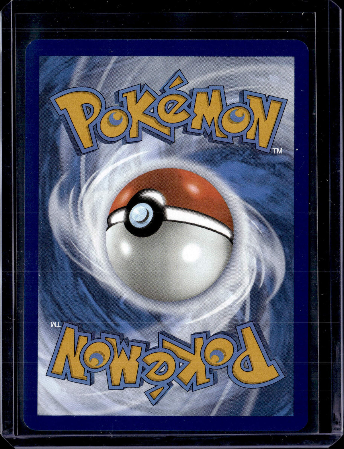 2024 Stellar Crown Squirtle Illustration Rare