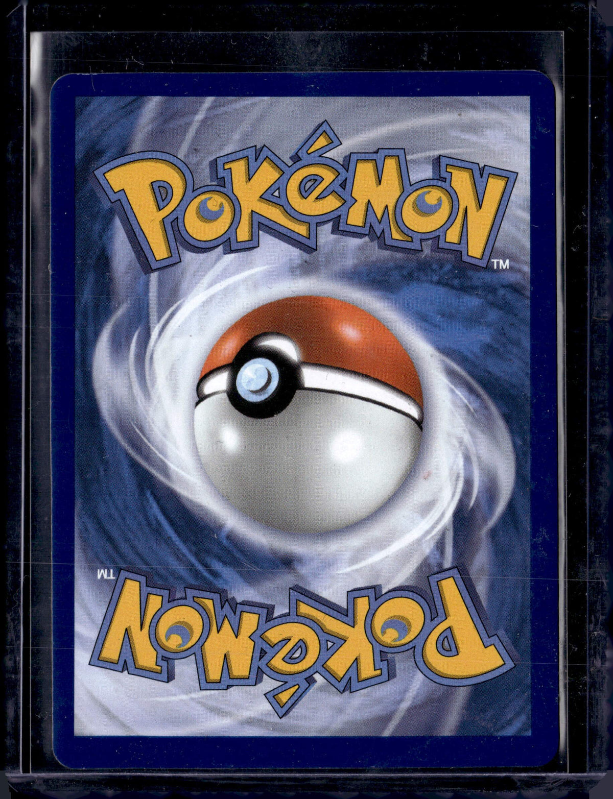 2026 Pitch Black Mega Zeraora ex Special Illustration Rare 114/084