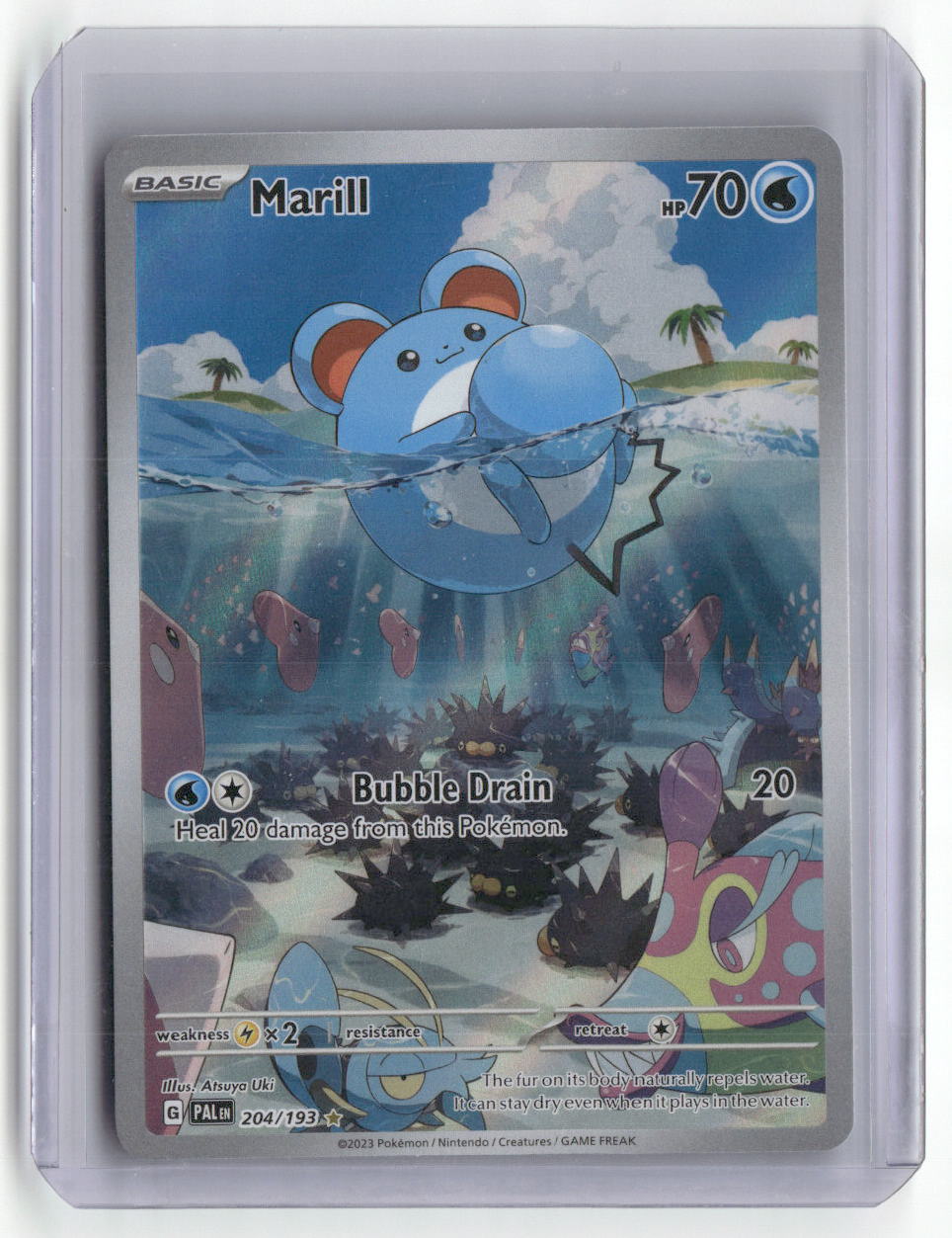 2023 Paldea Evolved Marill Illustration Rare 204/193