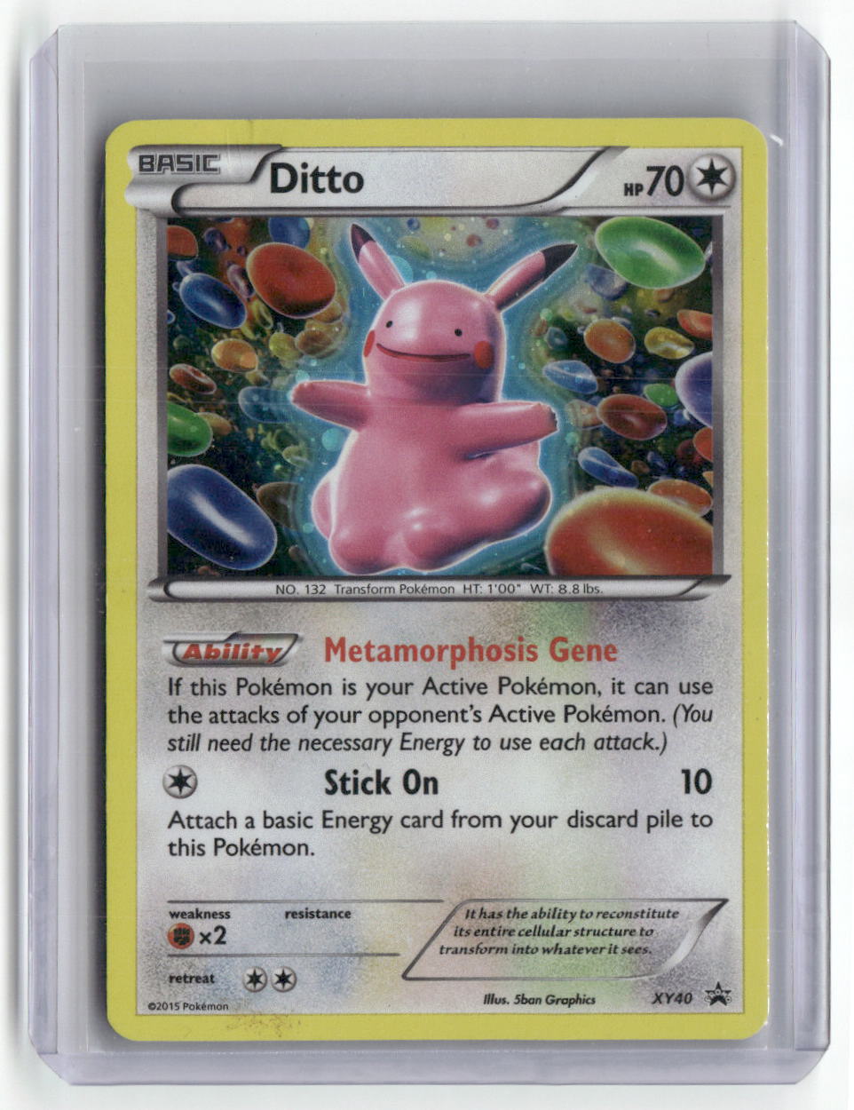 2015 XY Promos Ditto Holo XY40 (B)