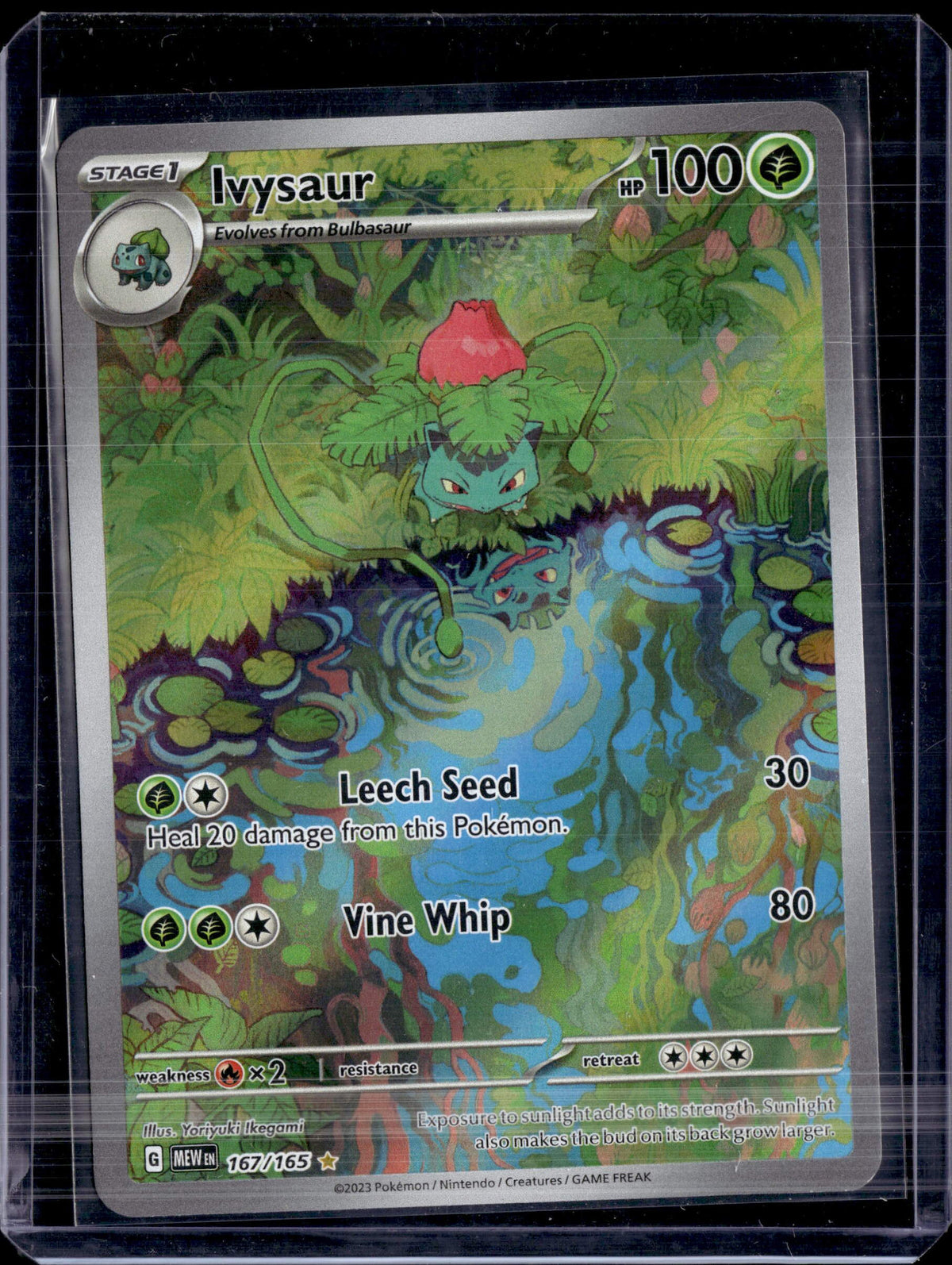 2023 Scarlet & Violet 151 Ivysaur IR 167/165 (a)